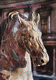 Marek Aureliusz kopia na placu -detal: głowa konia