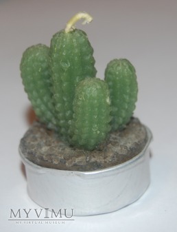 Świeczka kaktus 4
