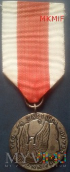 Duże zdjęcie Srebrny Medal Za zasługi dla obronności kraju