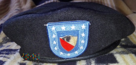 15th Engineer Battalion
