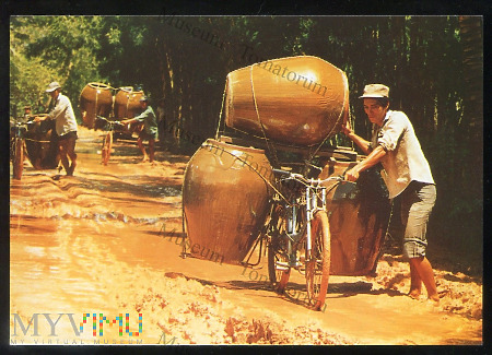 Vietnam - Quê Hương - Transport beczek - XX/XXI w.
