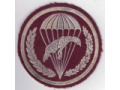 Oznaka 6 batalion desantowo-szturmowy