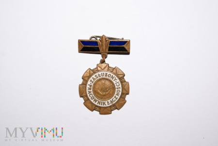Brązowa Odznaka 