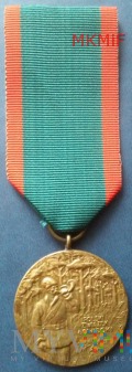 Duże zdjęcie Brązowy Medal Zasługi Łowieckiej
