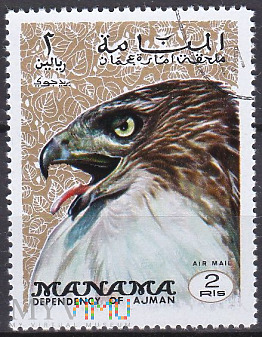 Eagle