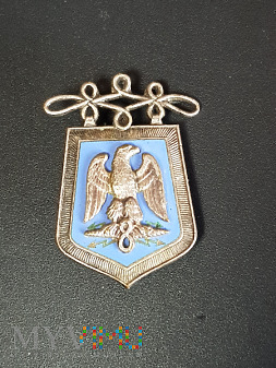 Pamiątkowa odznaka 8 Pułku Huzarów - Francja