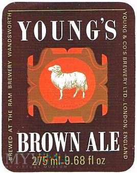 young's brown ale