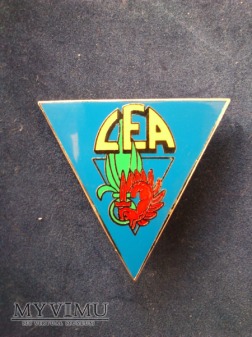 Odznaka CEA 2 REP