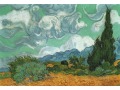 Vincent van Gogh Stary 