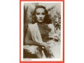 Marlene Dietrich Marlena Aktorka Pocztówka