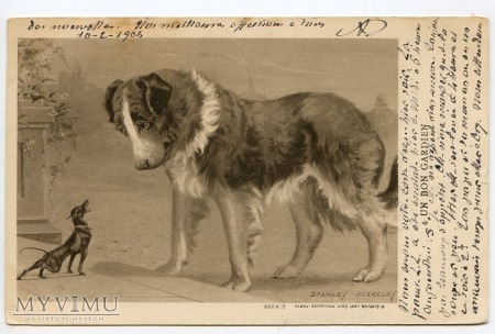 Duże zdjęcie Dachshund - Jamnik - Dawid i Goliat 1904