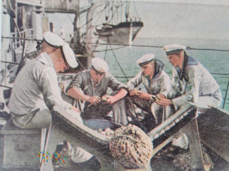 marynarze obierają ziemniaki
