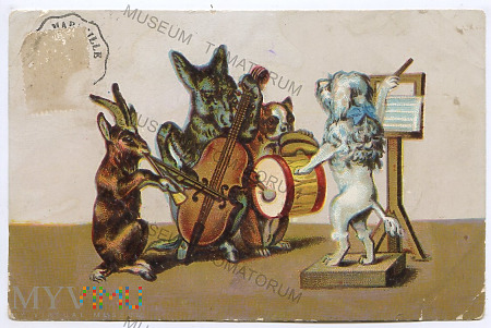 Zwierzęca orkiestra - 1905