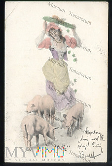 Świnka Szczęścia - 1901