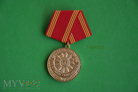 Medaille für in den bewaffneten Organen des MdI 30