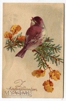 Catharina C. Klein Kwiatki i ptaszek Flowers Birds