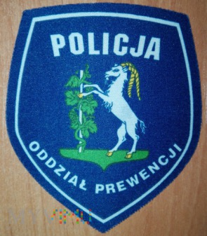 Oddział prewencji policji Lublin
