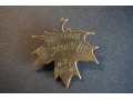 Pamiątkowa Odznaka Rezerwy - Gubin Jesień 86-88