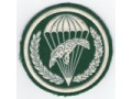 Oznaka 10 batalion desantowo-szturmowy
