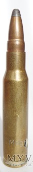 .308 Winchester SPCE