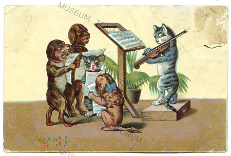 Duże zdjęcie Zwierzęca orkiestra - 1905