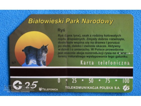 Białowieski Park Narodowy 5 (7)
