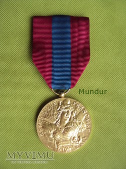 Duże zdjęcie Medal francuski: Médaille de la Défense Nationale