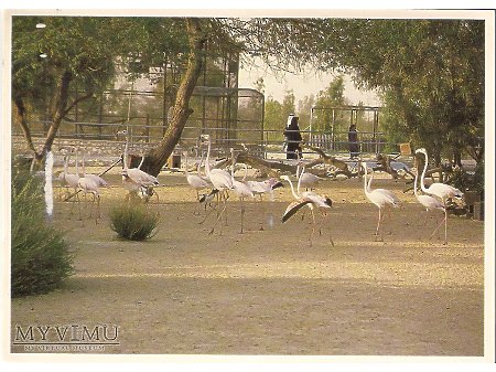 Al Areen Wildlife Park