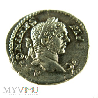 Cesarstwo Rzymskie- Karakalla denar 209 r
