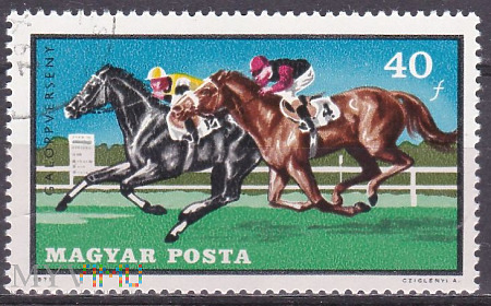 Galloping Horses (Equus ferus caballus)