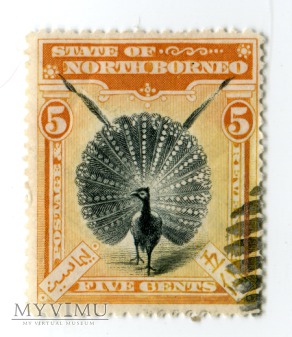 Borneo Północne znaczek North Borneo ptak