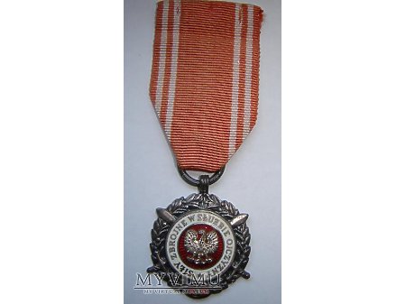 Medal Siły zbrojne w służbie ojczyzny - srebrny