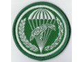 Oznaka 10 batalion desantowo-szturmowy