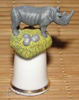 Duże zdjęcie Naparstek z nosorożcem