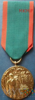 Duże zdjęcie Złoty Medal Zasługi Łowieckiej
