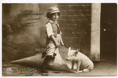 Duże zdjęcie Świnka Noworoczna 1915