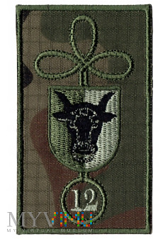 125 batalion lekkiej piechoty - LESZNO -12 WBOT