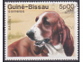 Basset Hound (Canis lupus familiaris)