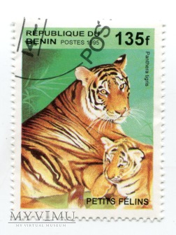Koty i ich małe Benin 1995 708ba do 708be