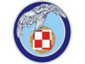 Odznaki Sił Powietrznych