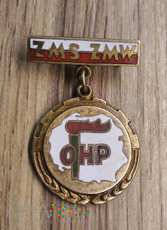 Złota odznaka ZMS ZMW OHP.