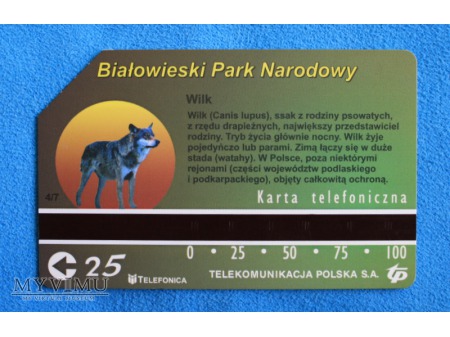 Białowieski Park Narodowy 4 (7)