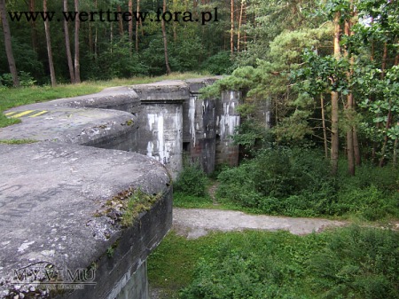 Twierdza Modlin - Fort V Dębina