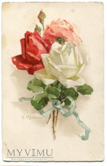 Duże zdjęcie Catharina C. Klein róża biała i czerwona