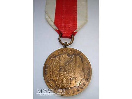 Medal za zasługi dla obronności kraju - brązowy