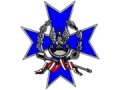 Zobacz kolekcję Odznaki Wojsk Lądowych