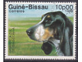 Grand Bleu de Gascogne (Canis lupus familiaris)