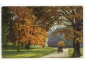 Piękny, jesienny widok leśno-parkowy - 1911