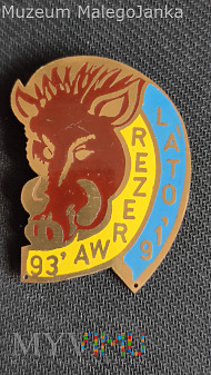 Pamiątkowa odznaka Rezerwy Lato 91 - 93