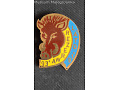 Pamiątkowa odznaka Rezerwy Lato 91 - 93